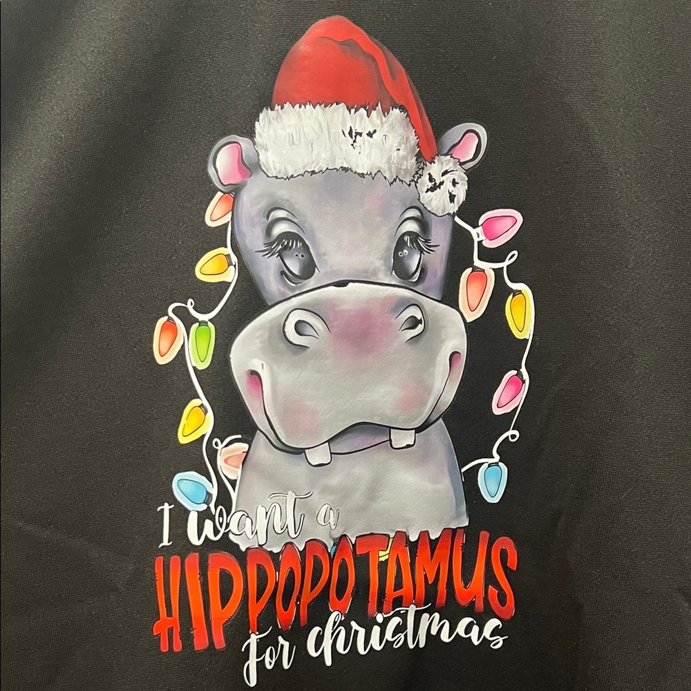 Christmas Hippo Graphic Sweatshirt